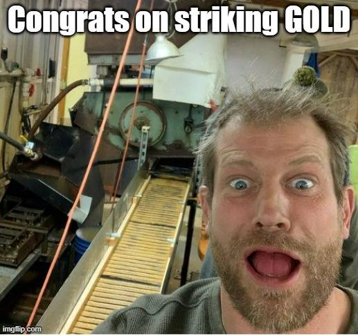 Gold Member Pomrenke.jpg