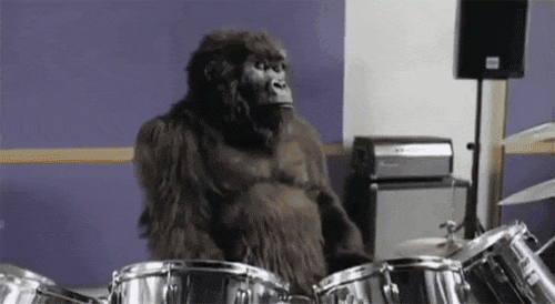 Gorilla drumming.gif