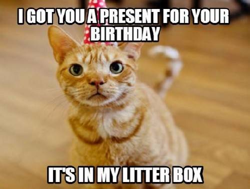 Got-You-A-Present-For-Your-Birthday-Funny-Birthday-Cat.jpg