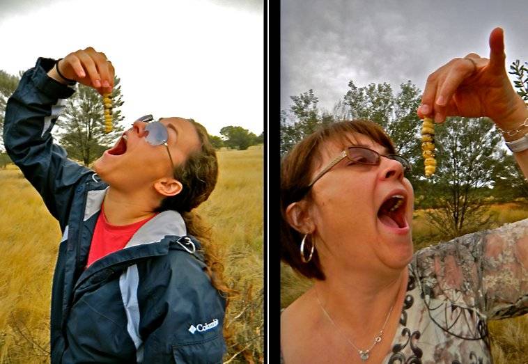 grub-hunting-par-52.jpg