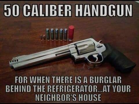 Gun .50ca for when there's a perp behind another house.jpg