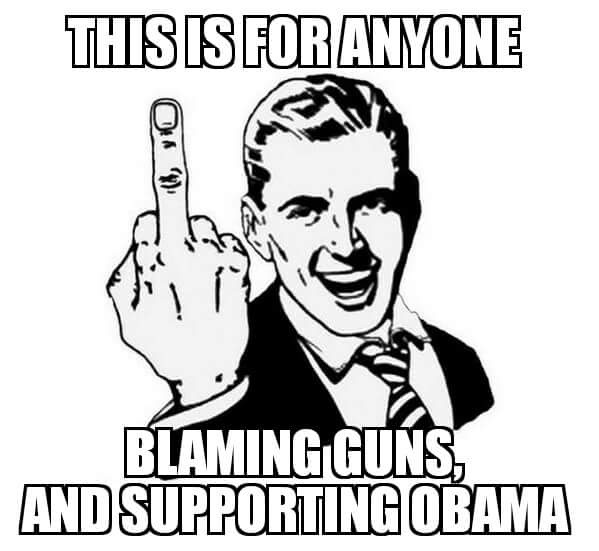 Gun Control Obama F-U Blaming Guns.jpg