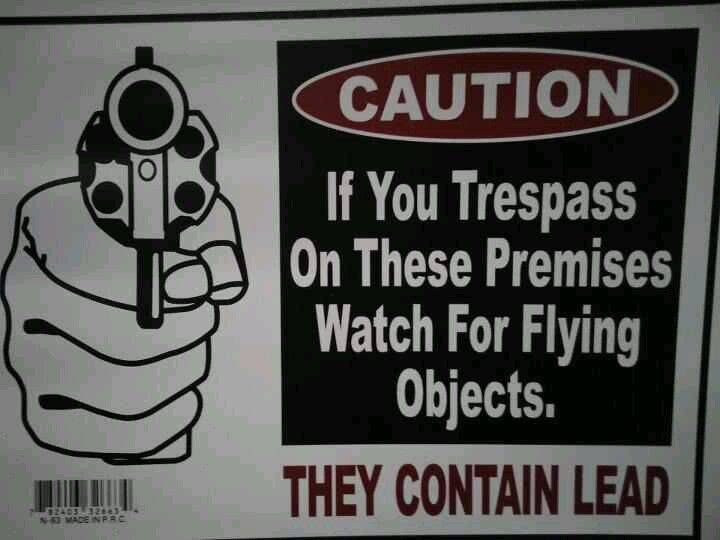 Gun Protected By Flying object they contain lead.jpg