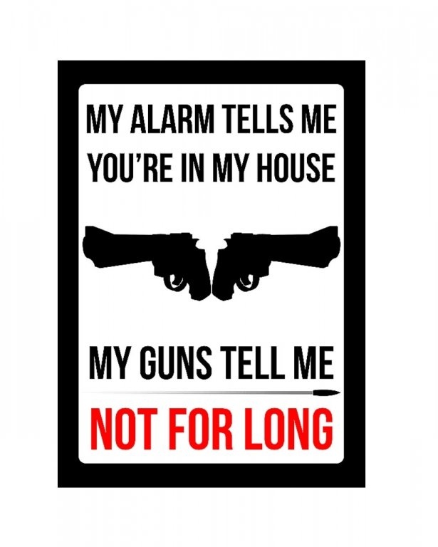 Gun Protection Alarm Warning Not for Long.jpg