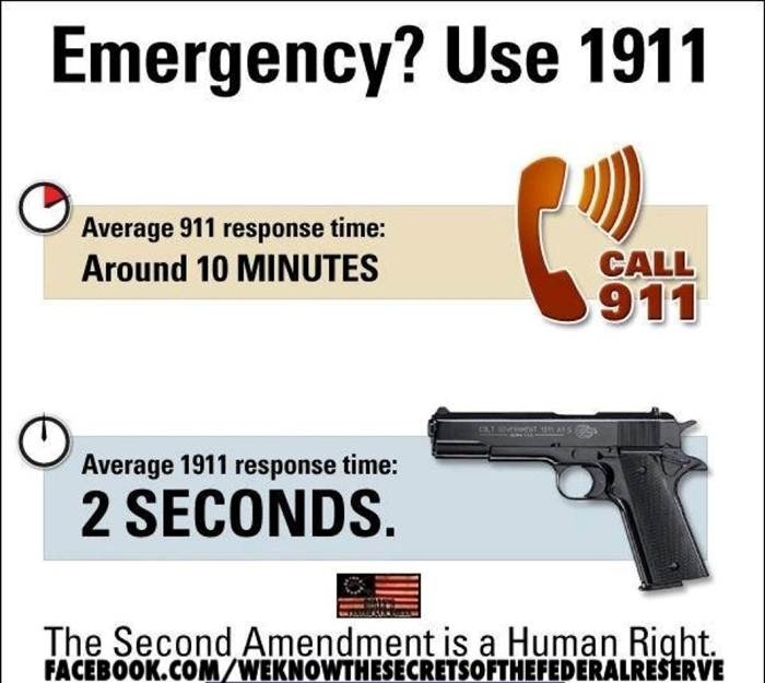 Guns 1911 Responce.jpg