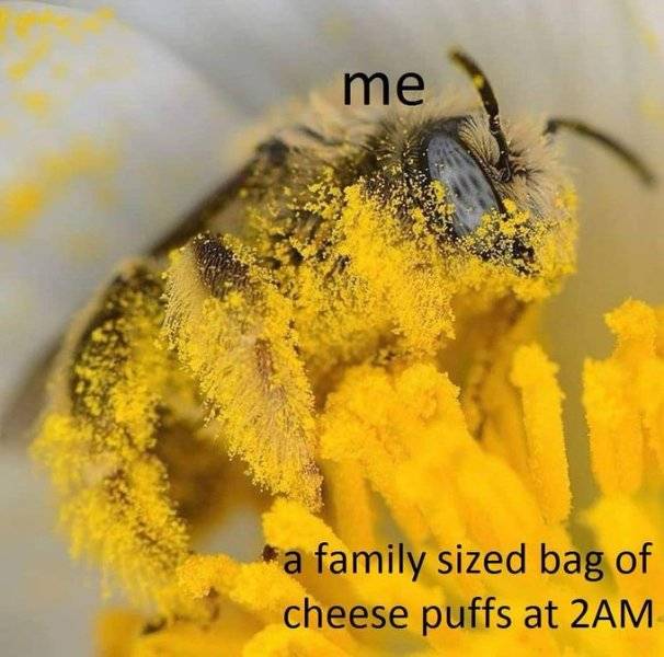 GvIPTRObEAA0c0A.jpg