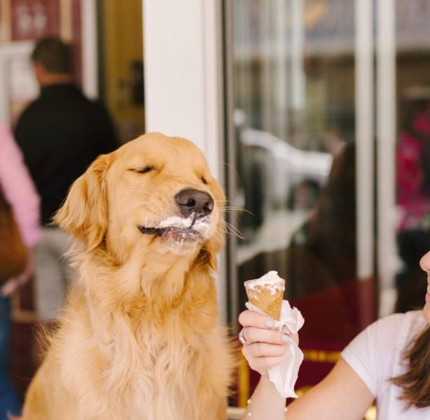 happiness.jpg