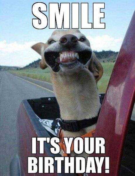 Happy Birthday Dog -Smile it's your birthday-.jpg