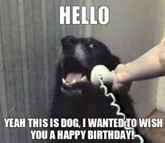 Happy Birthday Dogs calling to wish.jpg