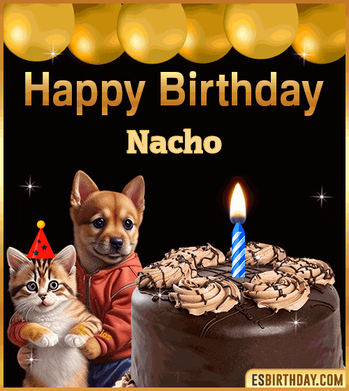 happy-birthday-funny-animated-gif-nacho.gif
