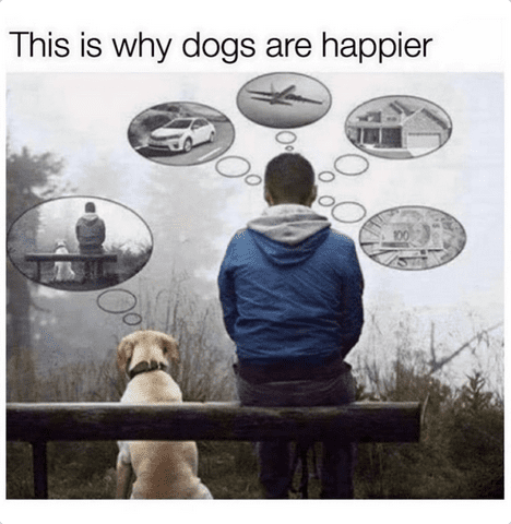 happy .png