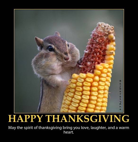 happy-thanksgiving-cute-squirel-blessing.jpg