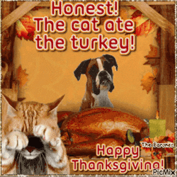 happy-thanksgiving-funny-turkey-dog-l22yy5yqqrcxdepw.gif