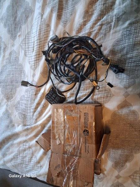 harness4.jpg