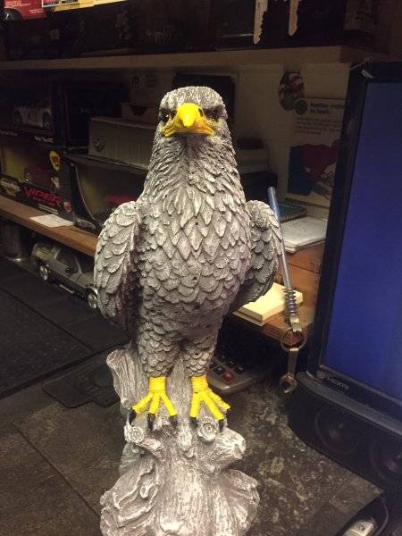 Harold the Eagle.jpg