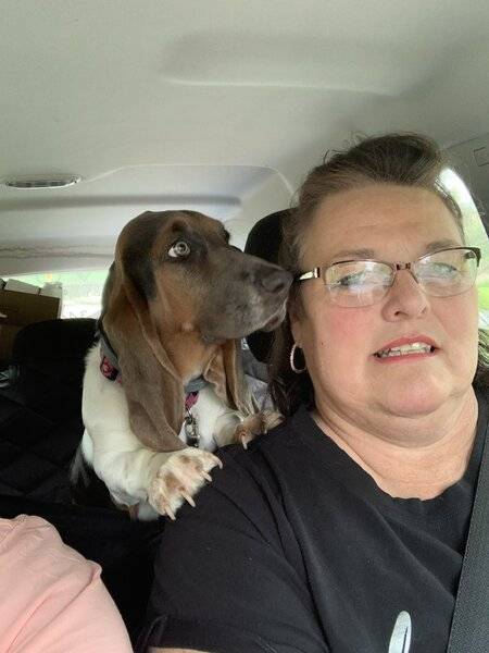 Hazel in Car.JPG