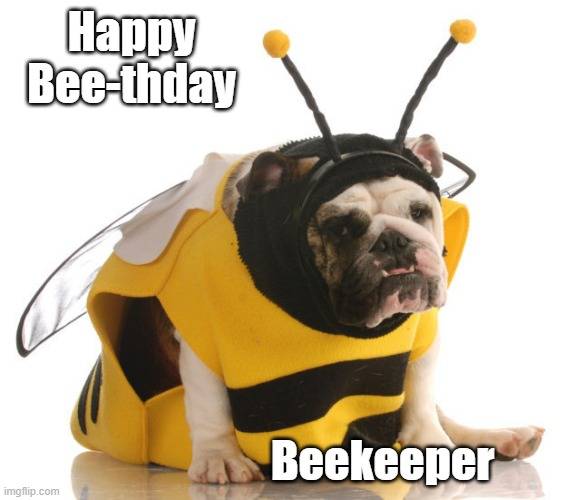HBD Beekeeper.jpg
