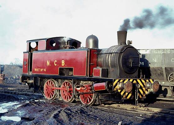 hc1844-whit4.jpg
