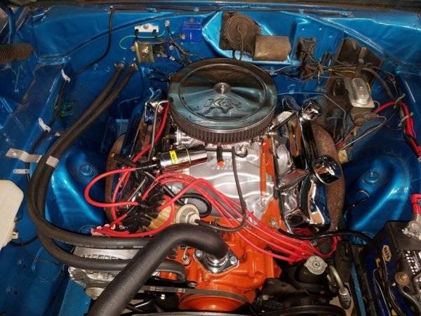 heater hoses correct.jpg