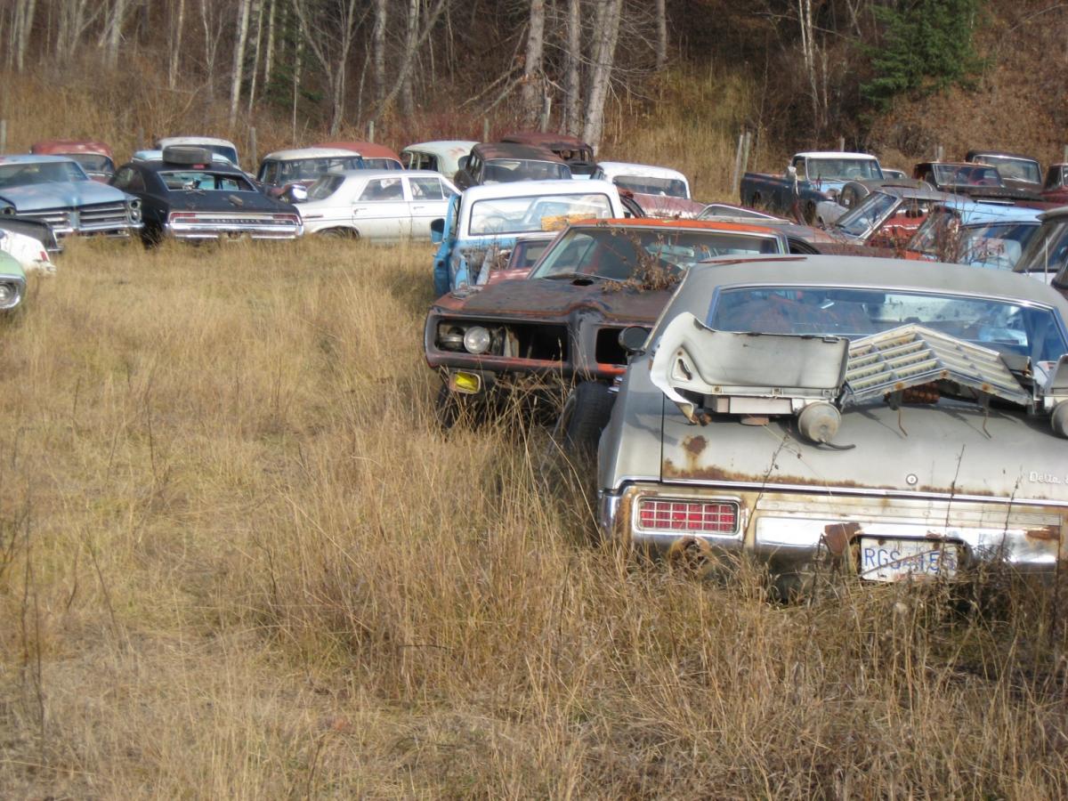 hick 006( =2).jpg