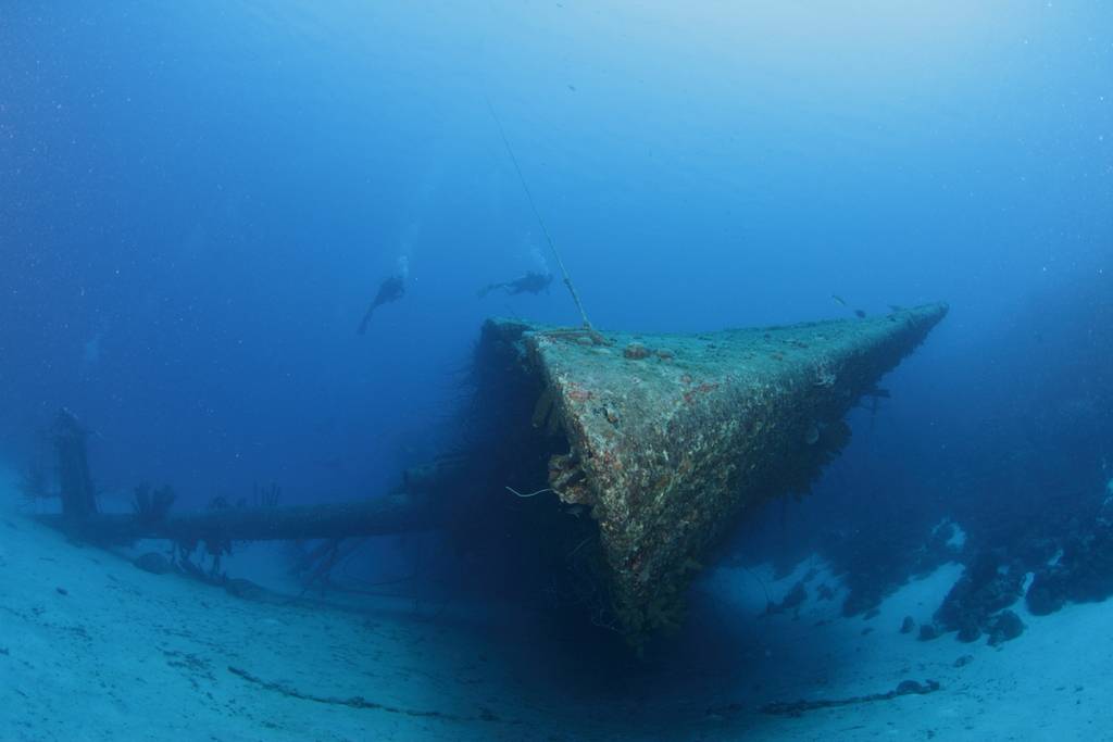 Hilma-Hooker2.jpg