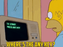 homer-any.gif