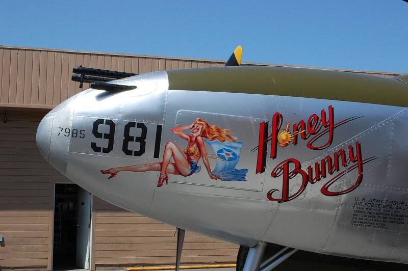 Honey_Bunny_P-38.JPG