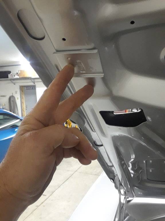hood rests.jpg