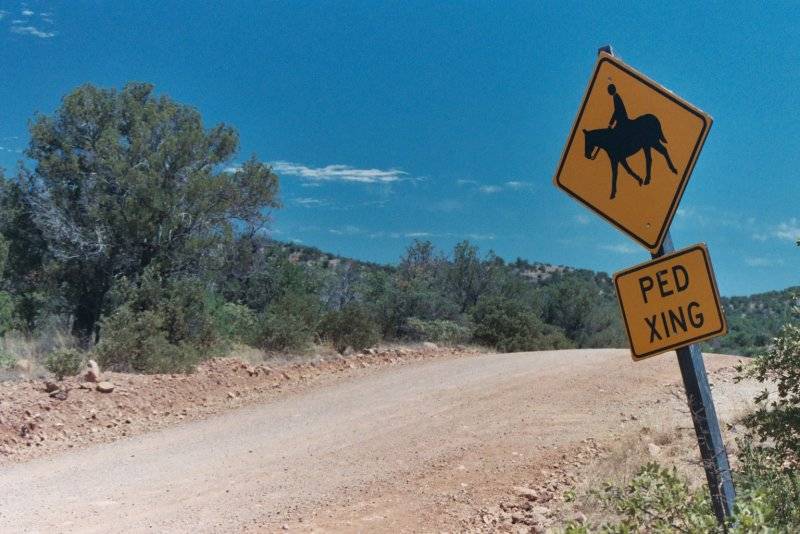 horse crossing Canelo Pass.JPG