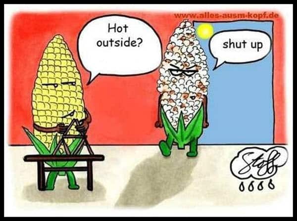 hot-weather-outside-meme.jpg