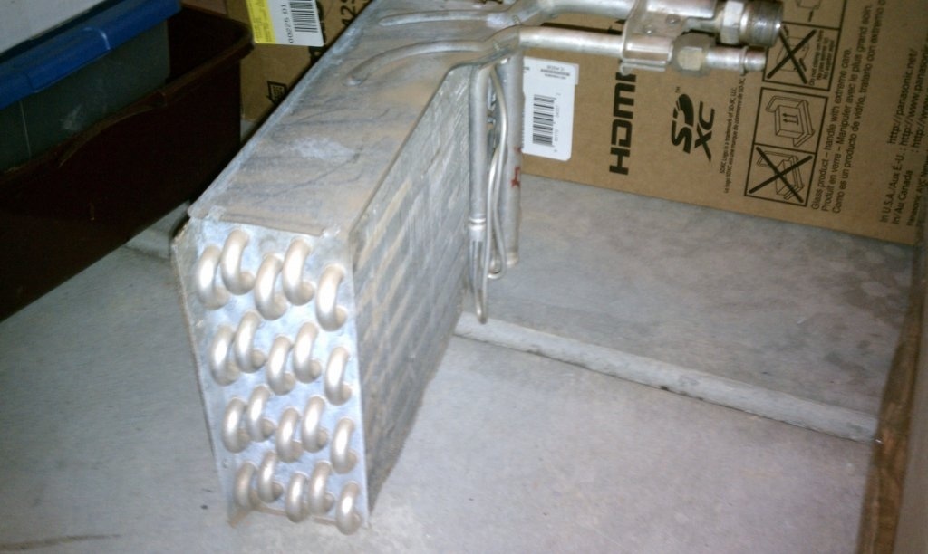 IMAG1084.jpg