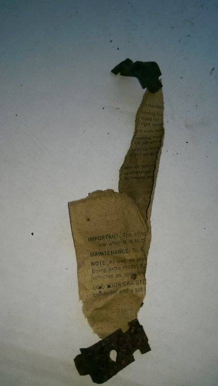 IMAG1256.jpg