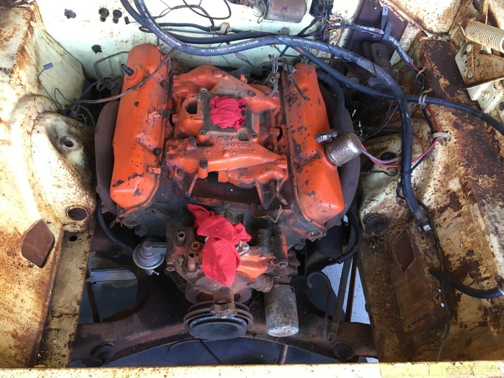 image.jpeg