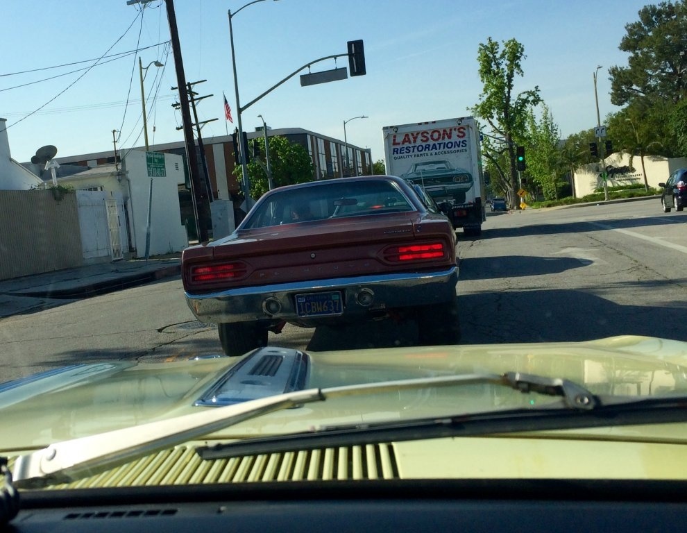 image.jpeg