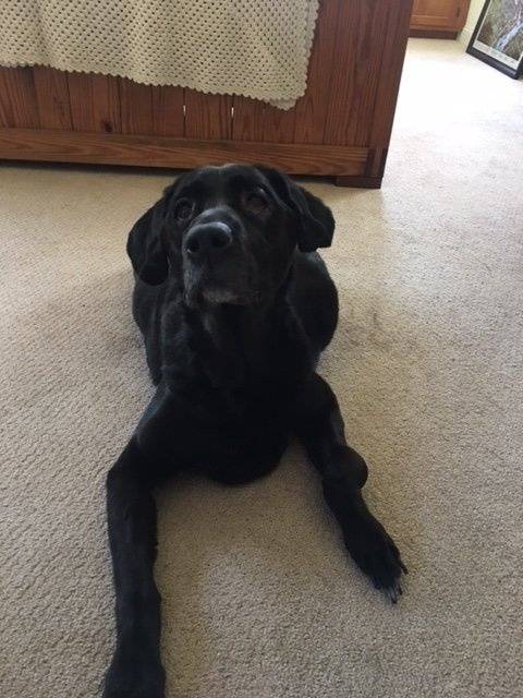 image.jpeg image.jpeg