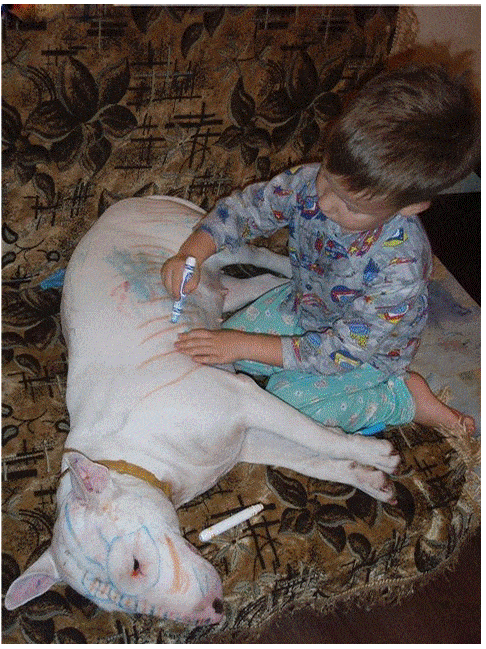 image015151515.gif