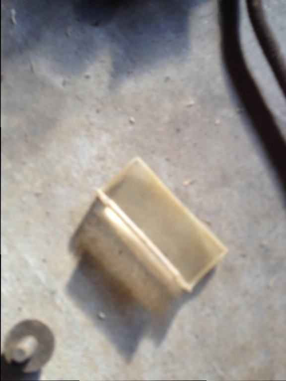 image1.JPG