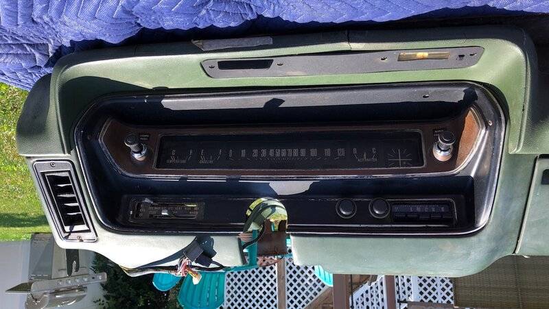 image5 (2).jpeg