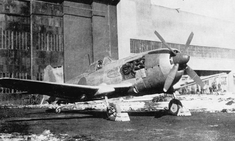 Image6-scaled.jpg