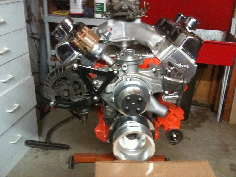 IMG_0081.jpeg IMG_0081.jpeg