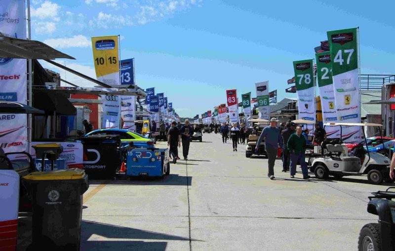 IMG_0947 paddock.jpg