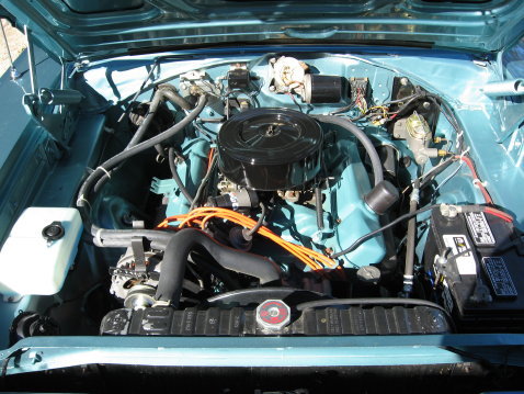 IMG_0977_detail.jpg