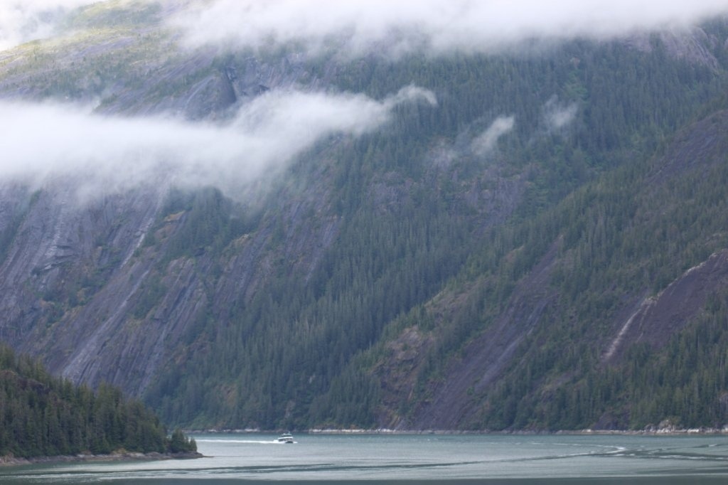 IMG_1139.JPG