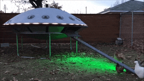 IMG_1291.GIF