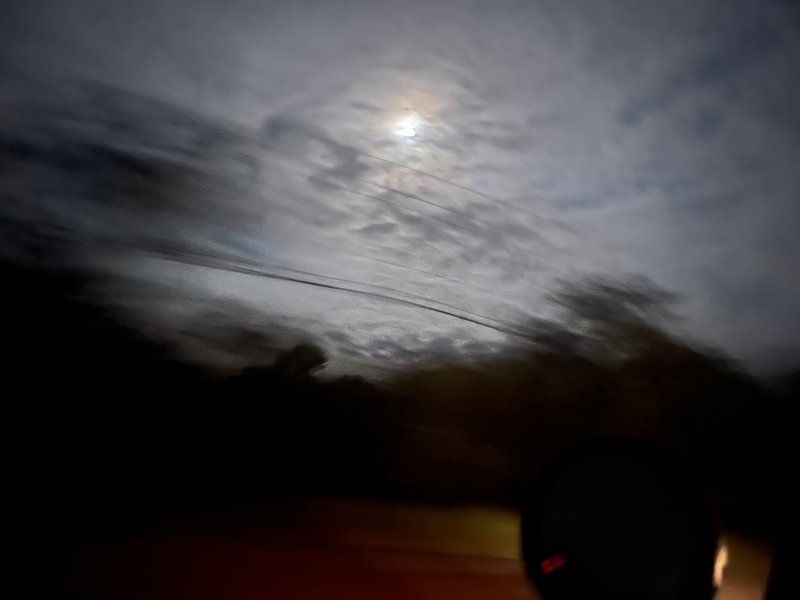 IMG_1355.jpeg