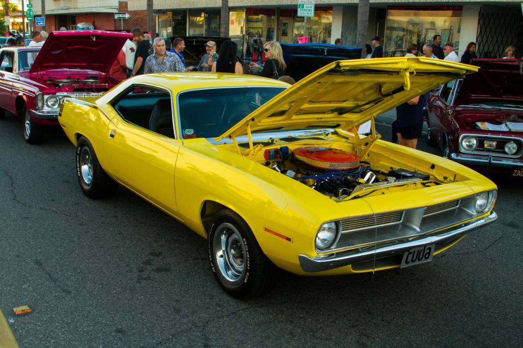 IMG_1710.jpg