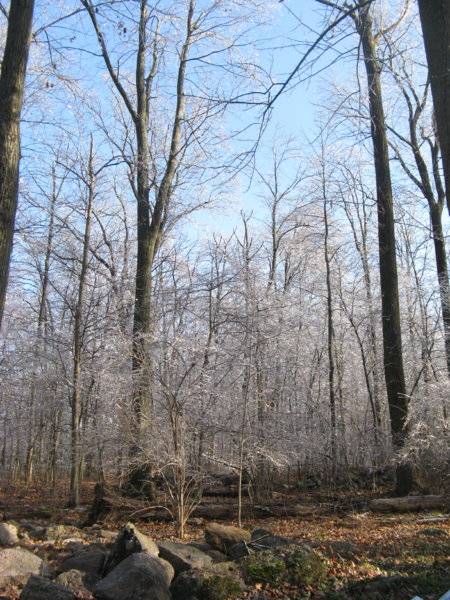 IMG_1834.JPG