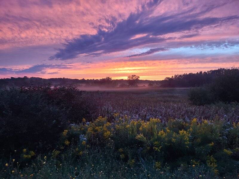 IMG_20210915_192601165_HDR.jpg