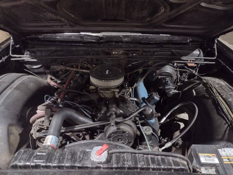 IMG_20220601_121812725_HDR.jpg