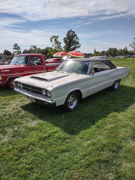 IMG_20220903_112959102_HDR.jpg